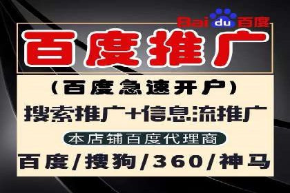 百度竞价广告投放成功案例解析